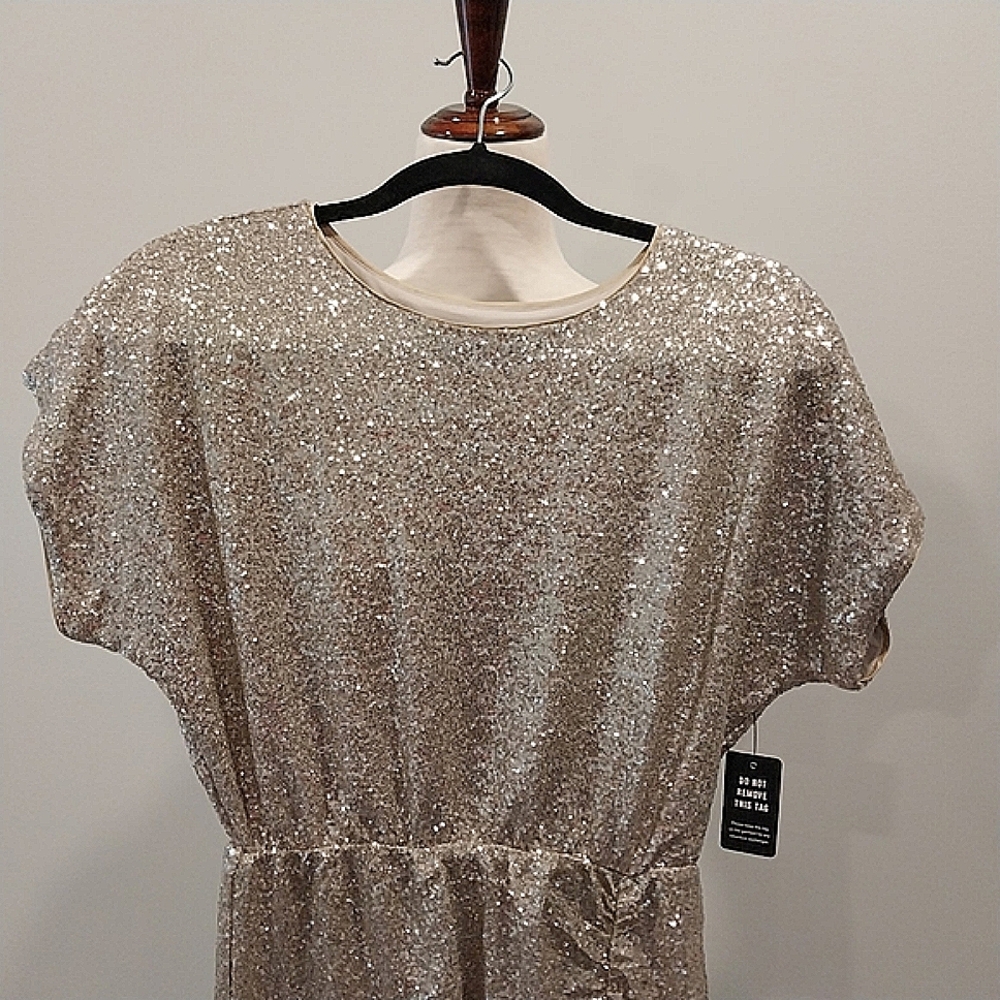 NWT Express Champagne Short Sleeve Sequined Ruched Mini Dress Size Small - Picture 2 of 16